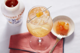 Cocktail-ready Fabbri Ginger with Syrup for gin or Moscow Mule.