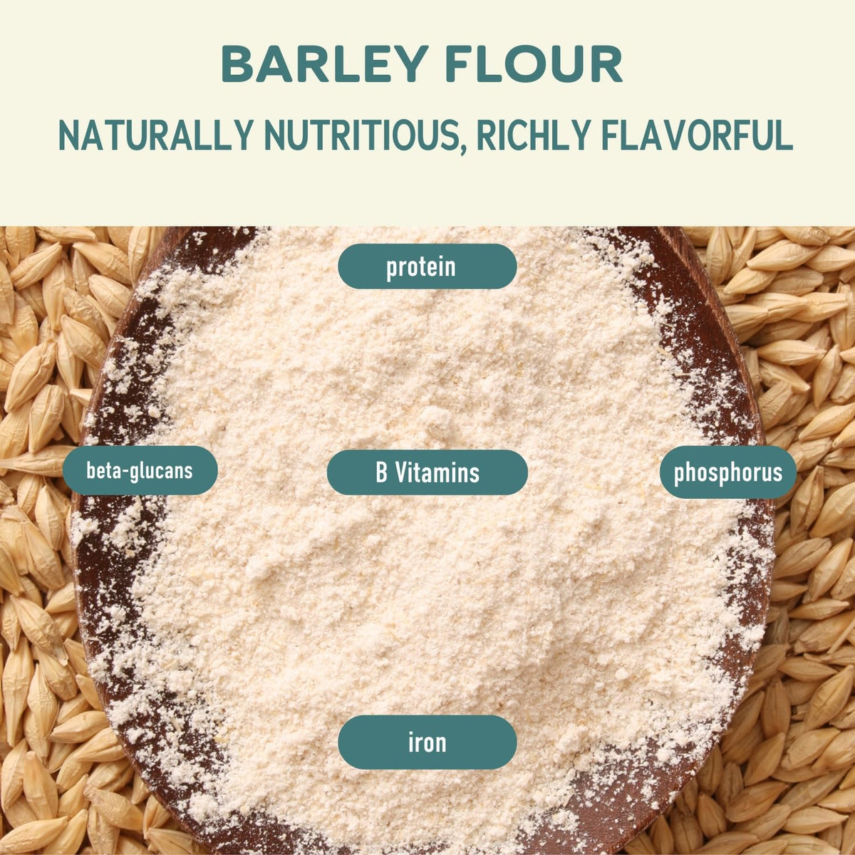 Fairhaven Mill Barley Flour measuring cup, ready for muffins and cookies