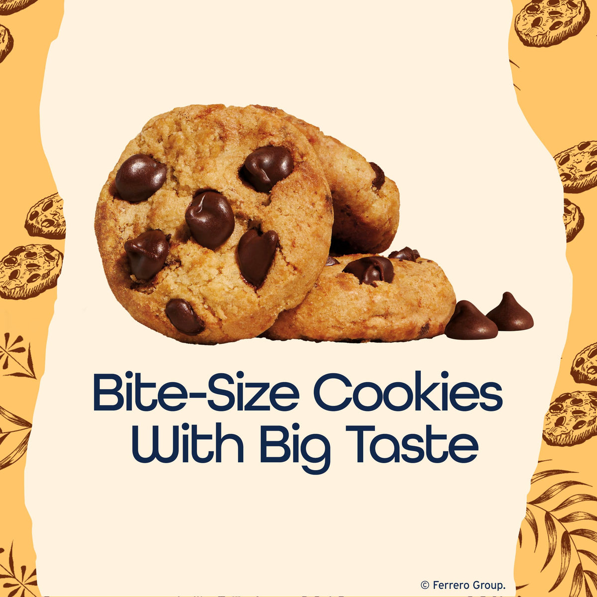 Famous Amos cookies in a resealable 9 oz bag for freshness.