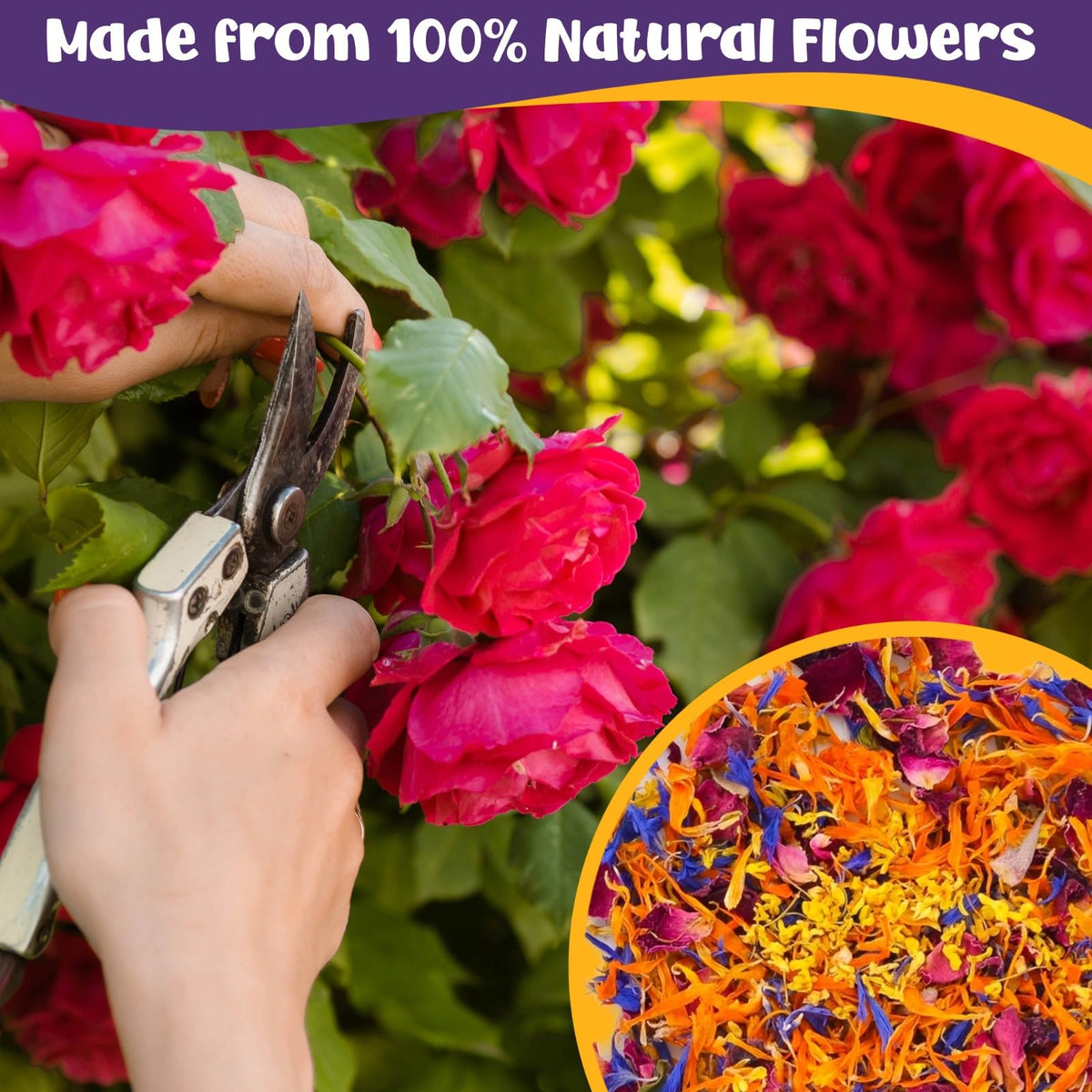 Fangkic edible flowers blend used as cocktail garnish and flavor accent