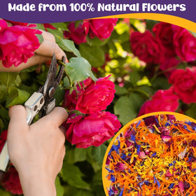 Fangkic edible flowers blend used as cocktail garnish and flavor accent