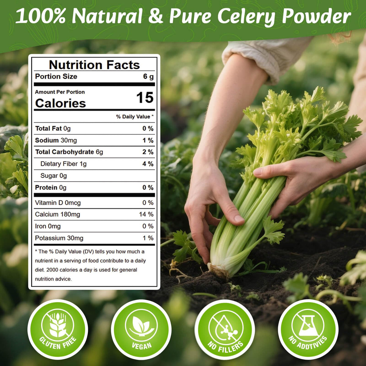 Fangkic Celery Powder ultrafine texture blends easily into drinks and batters.