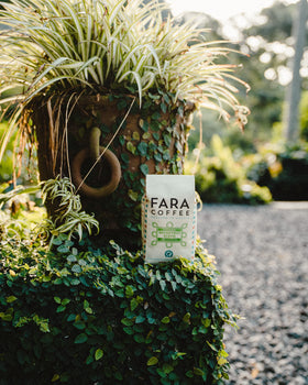 Fara Coffee Decaf Roast beans macro closeup emphasizes quality and craftsmanship