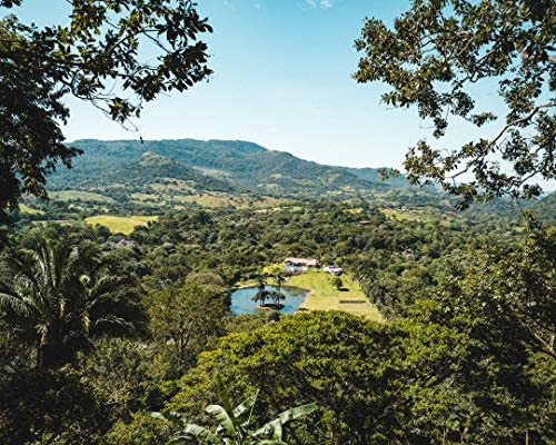 Fara Coffee Rainforest Alliance certified beans reflect responsible sourcing