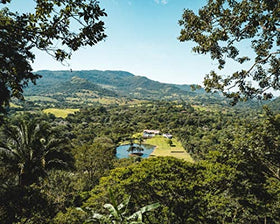 Fara Coffee Rainforest Alliance certified beans reflect responsible sourcing