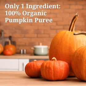 BPA-free liner mention on FARMER'S MARKET Organic Pumpkin Puree can