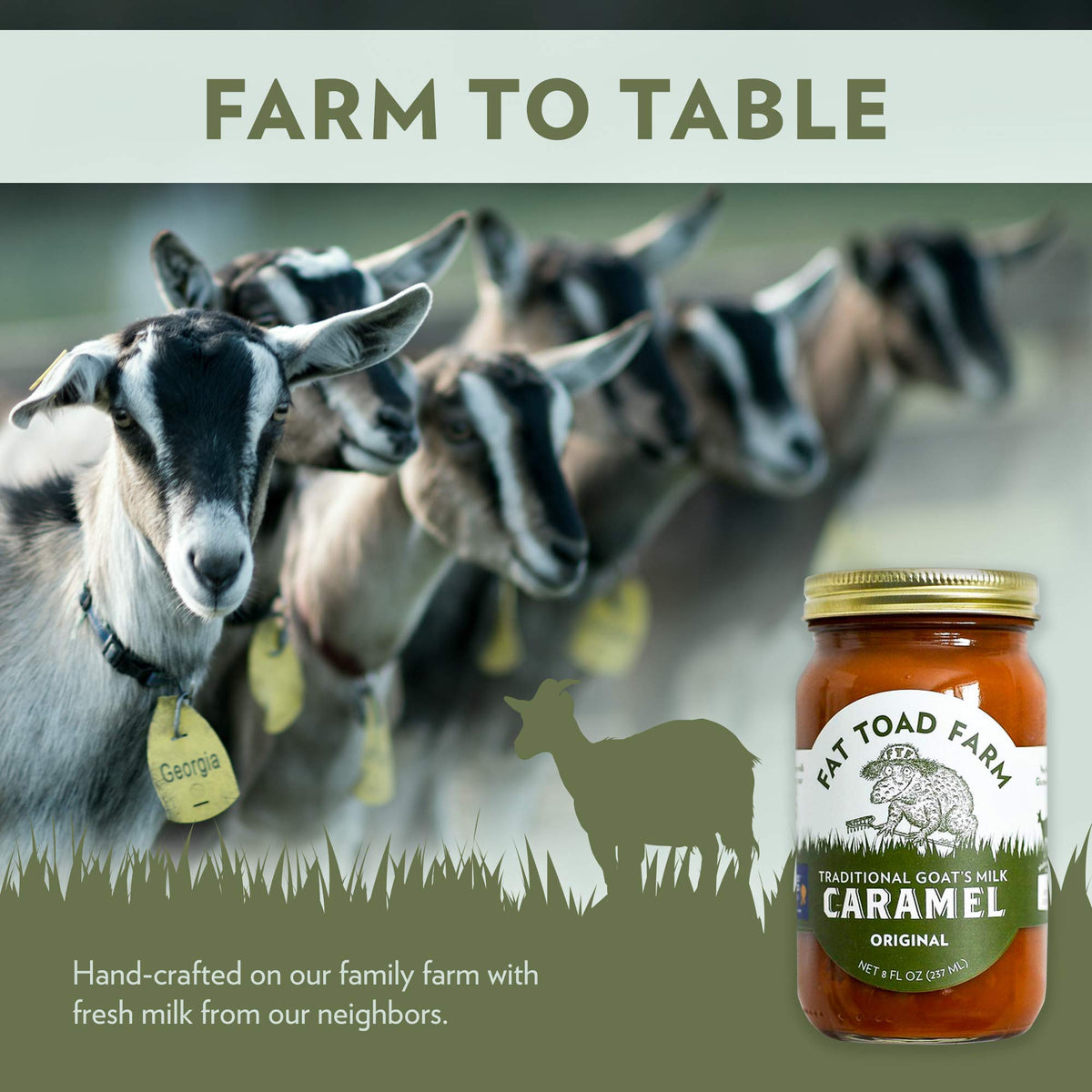 Fat Toad Farm three-ingredient cajeta: goat’s milk, cane sugar, baking soda.