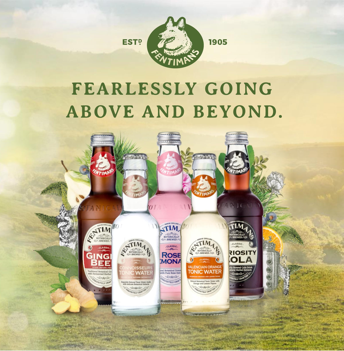 Fentimans Curiosity Cola bubbles closeup emphasizes natural fizz.