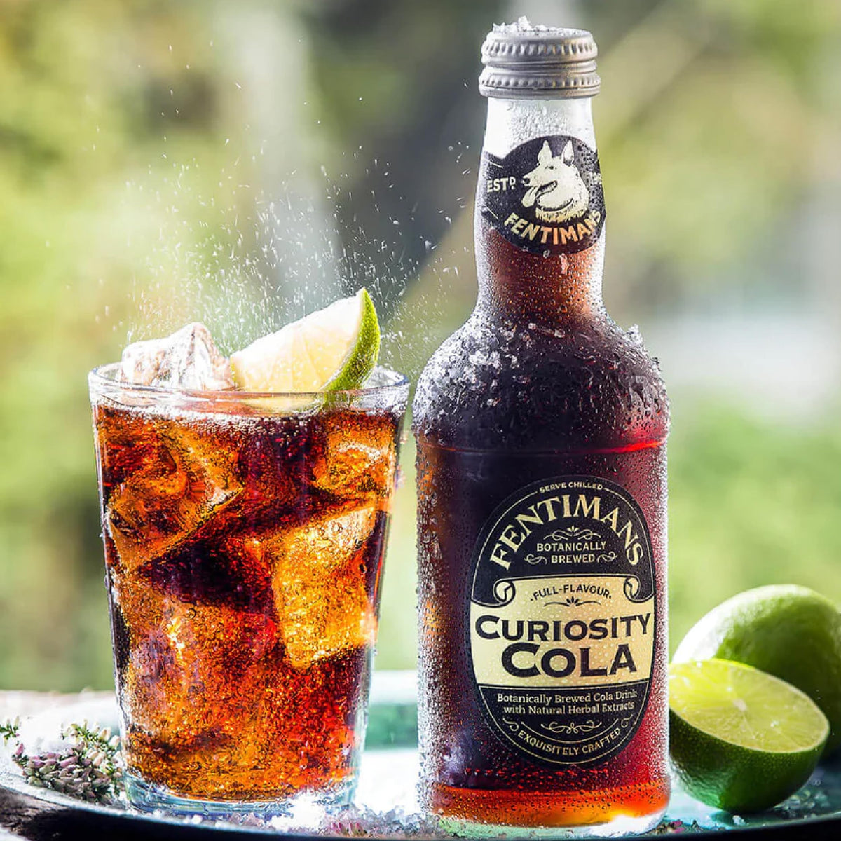 Fentimans Curiosity Cola 12-pack ready for sharing moments.