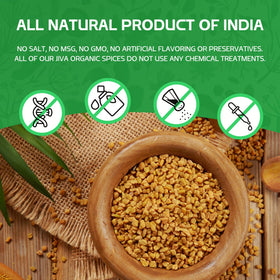 Fenugreek seeds in measuring cup for precise spice use.