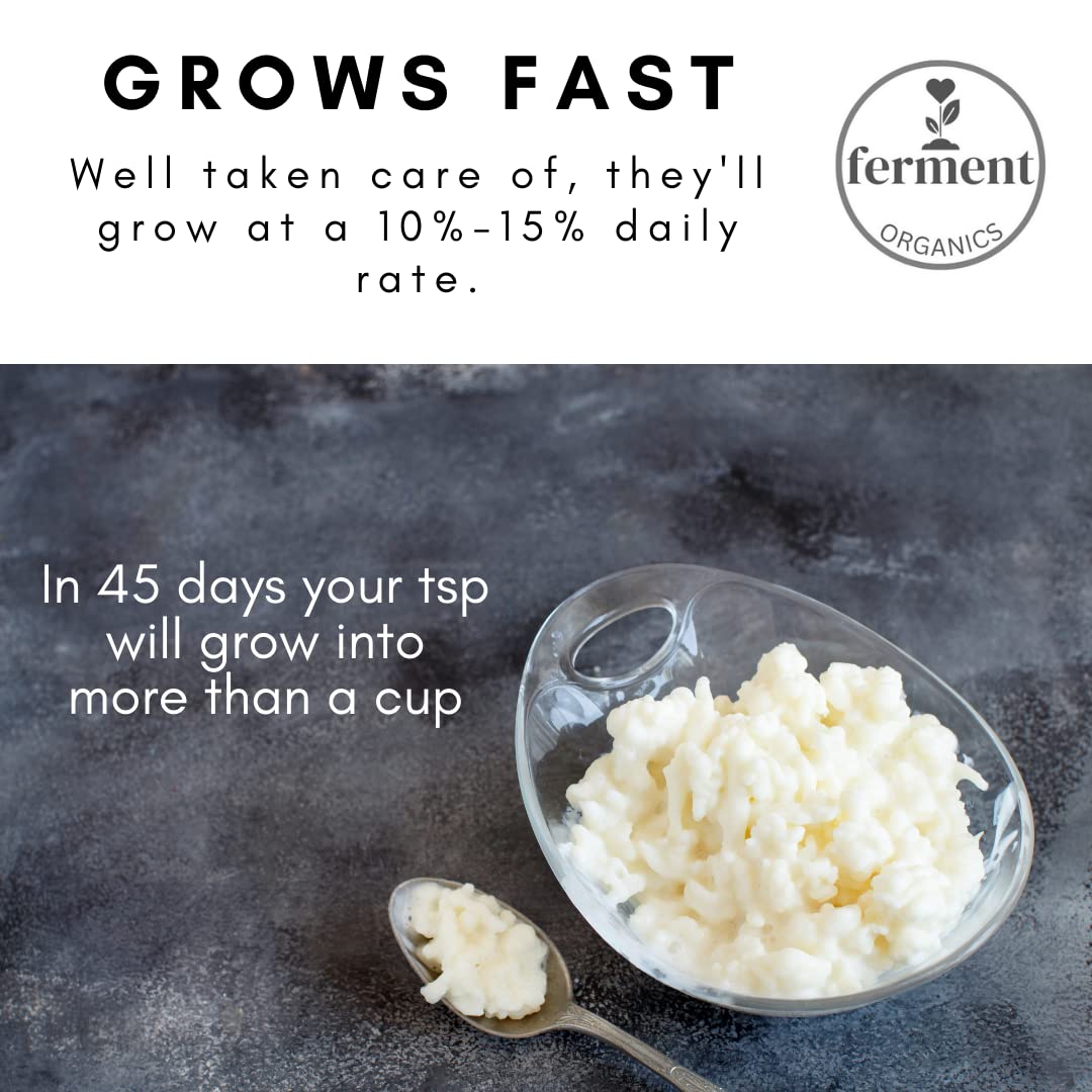 Ferment Organics cheesecloth bag for dips and dairy cream.