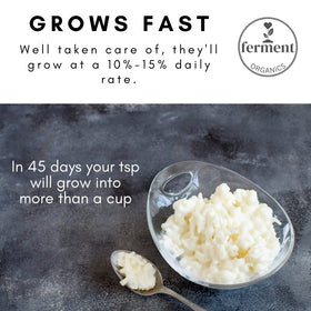Ferment Organics cheesecloth bag for dips and dairy cream.
