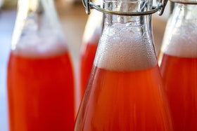 Fermentaholics invert sugar syrup resealable cap for easy pouring