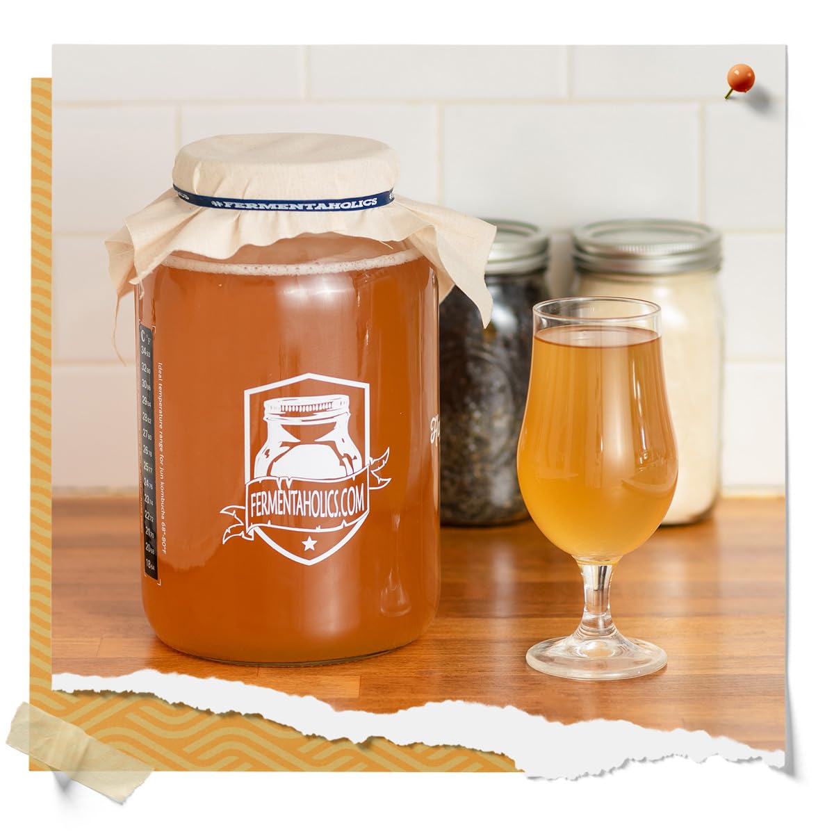 Fermentaholics batch-care guide helps SCOBY longevity
