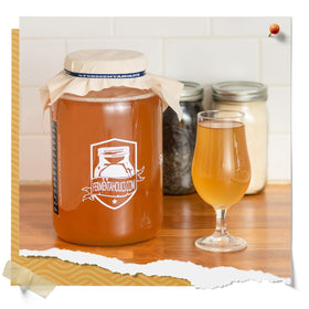 Fermentaholics batch-care guide helps SCOBY longevity