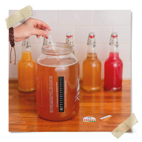 Fermentaholics gift-ready organic kombucha kit for hobbyists