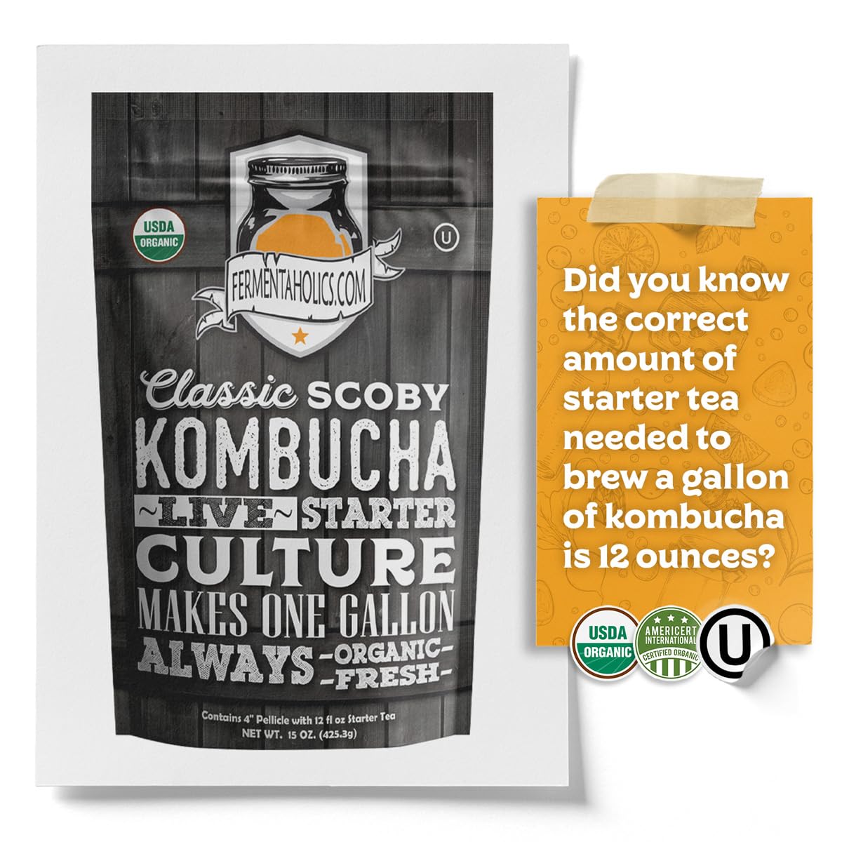 Fermentaholics sustainable brewing reduces waste from bottles