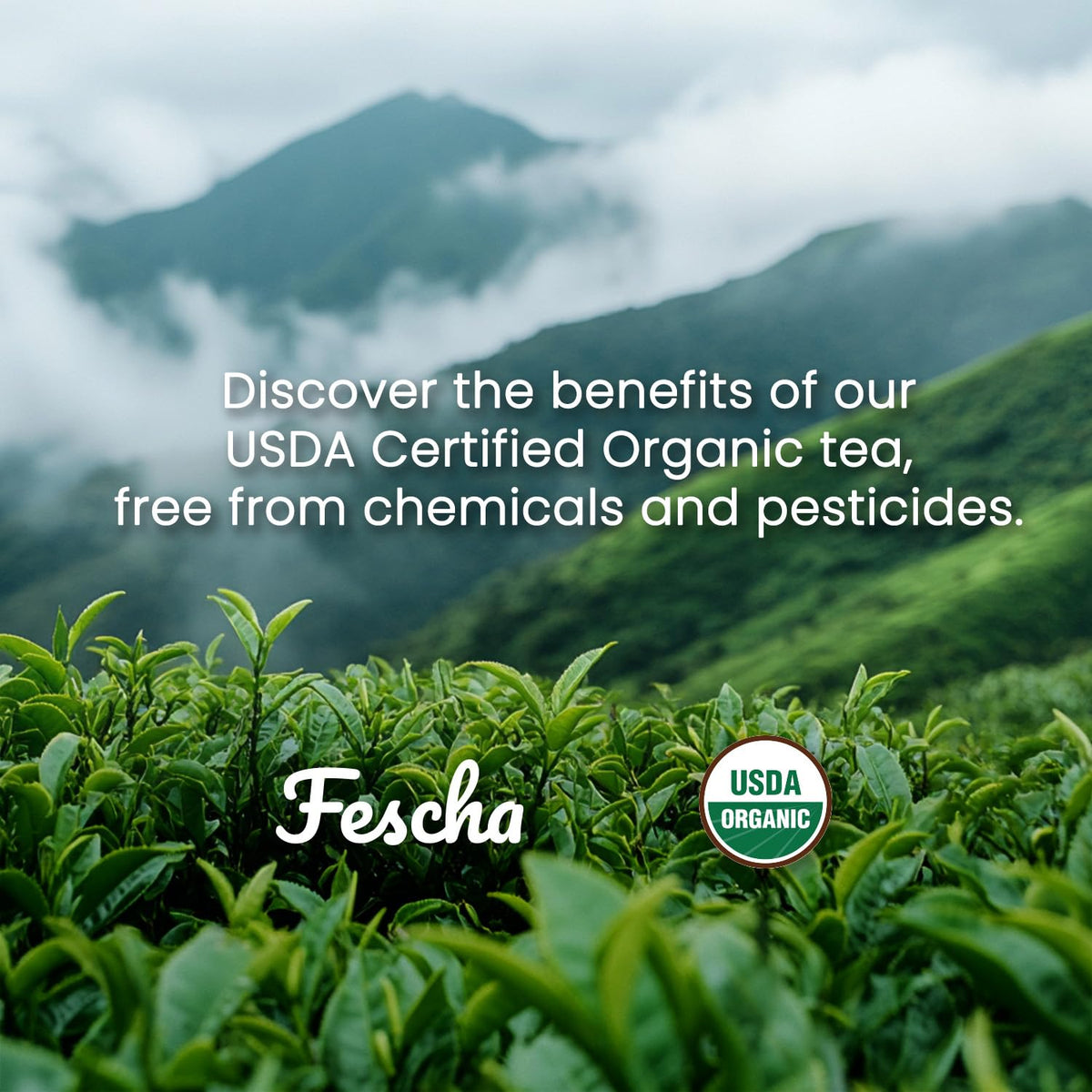 Fescha resealable kraft bag with tea leaves on front.