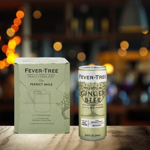 Fever-Tree Ginger Beer 24-can pack on display, convenient for home entertaining.