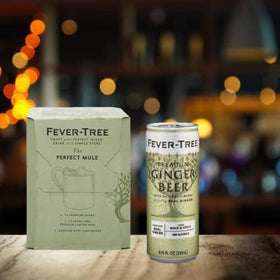 Fever-Tree Ginger Beer 24-can pack on display, convenient for home entertaining.
