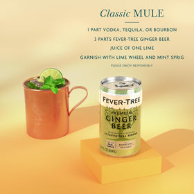 Chilled Fever-Tree Ginger Beer serves refreshing, non-alcoholic enjoyment.