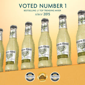 Fever-Tree Light Ginger Beer can for convenient, on-the-go refreshment