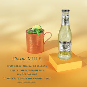 Fever-Tree Light Ginger Beer ingredients spotlight natural ginger and non-GMO profile