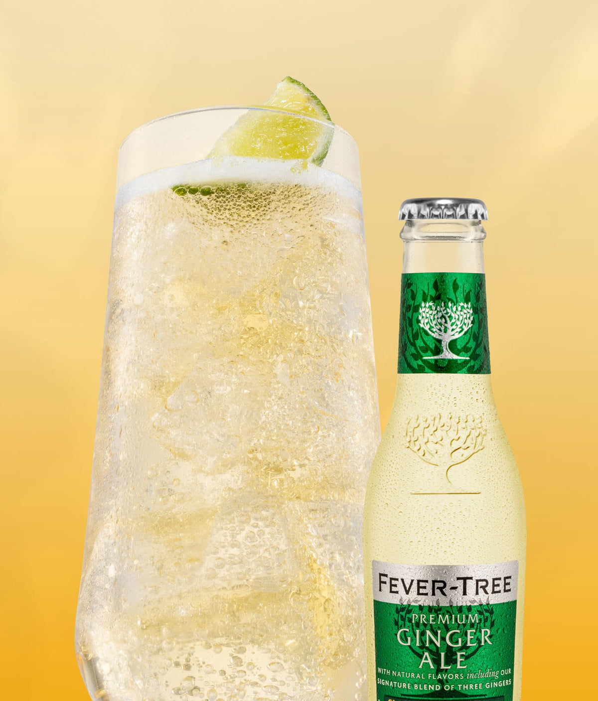 Fever-Tree Premium Ginger Ale in glass with ice for refreshing serving