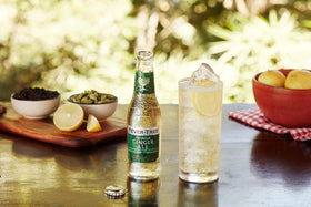 Fever-Tree Premium Ginger Ale pack of 24 for home bar setups