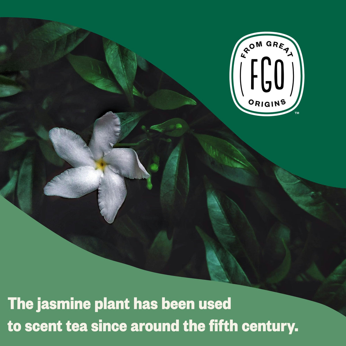 Foil-lined kraft bags preserve flavor and aroma of FGO Jasmine Green Tea.