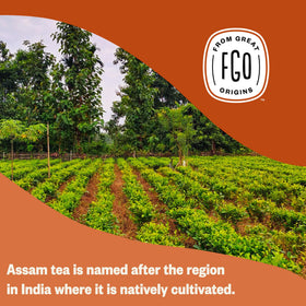 FGO Organic Assam Tea resealable bag keeps freshness for many brews.