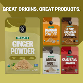 FGO Organic Ginger Powder packaging variation indicating India origin and freshness