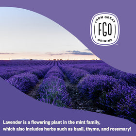 FGO lavender flowers in bulk—scented culinary herb for desserts and drinks.