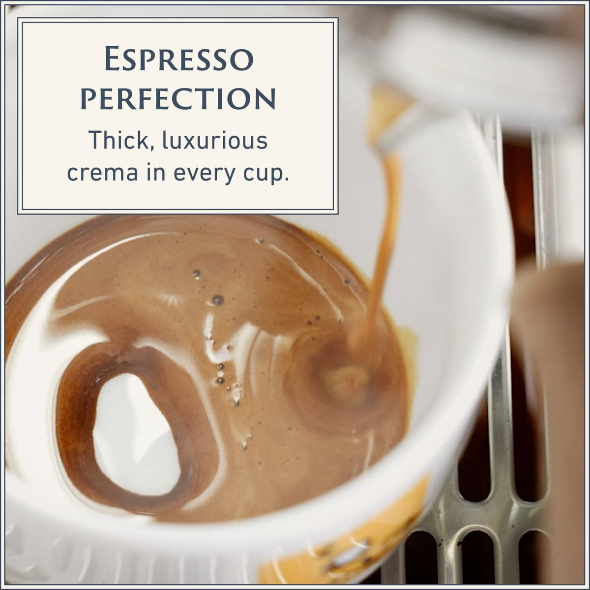 Filicori Zecchini Arabica-Robusta blend beans demonstrating versatile home brewing.