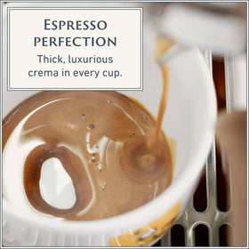 Filicori Zecchini Arabica-Robusta blend beans demonstrating versatile home brewing.