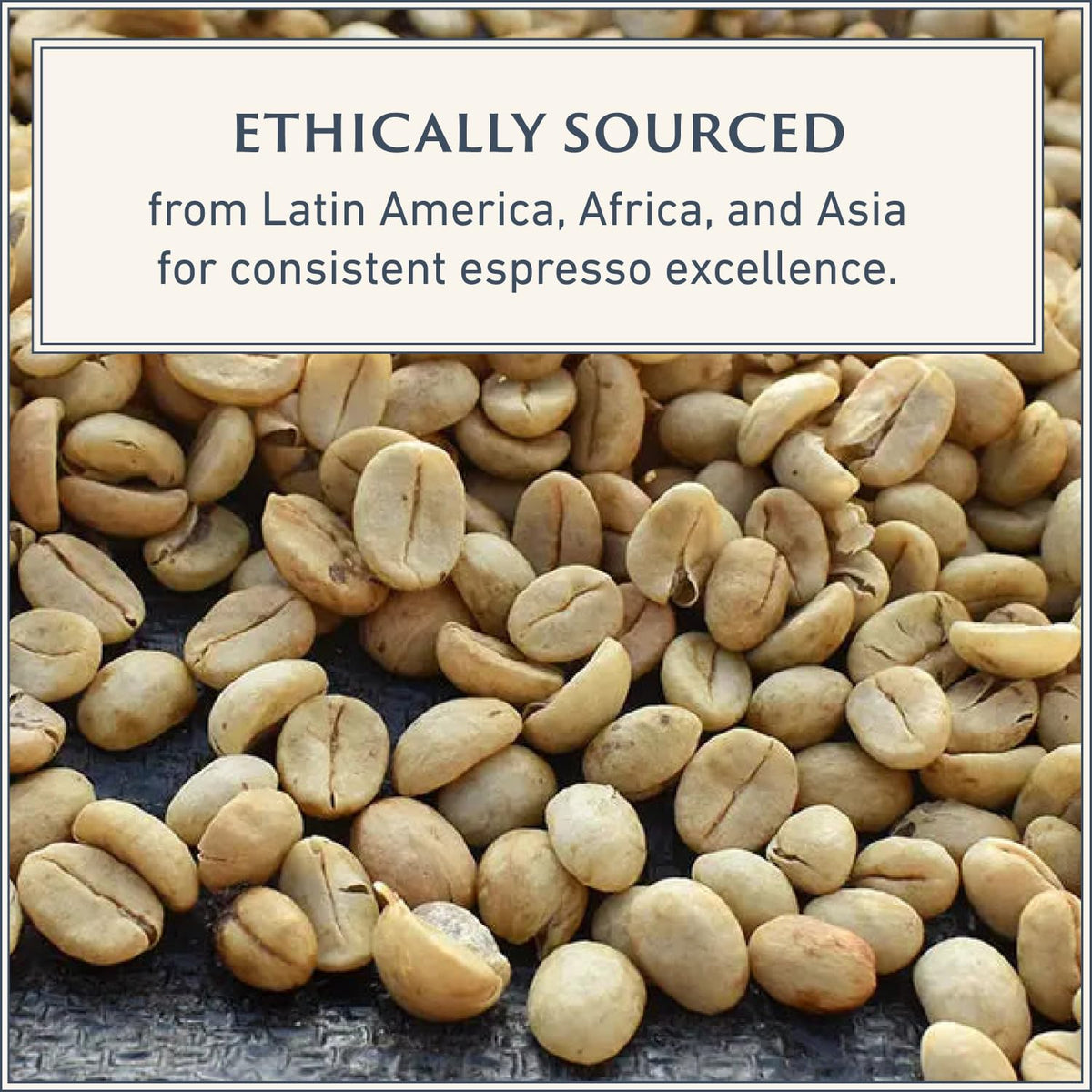 Filicori Zecchini Forte small-batch roast preserves deep, authentic flavor.