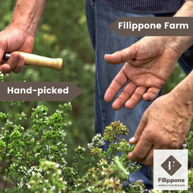 Filippone USDA organic lavender for baking authentic floral notes
