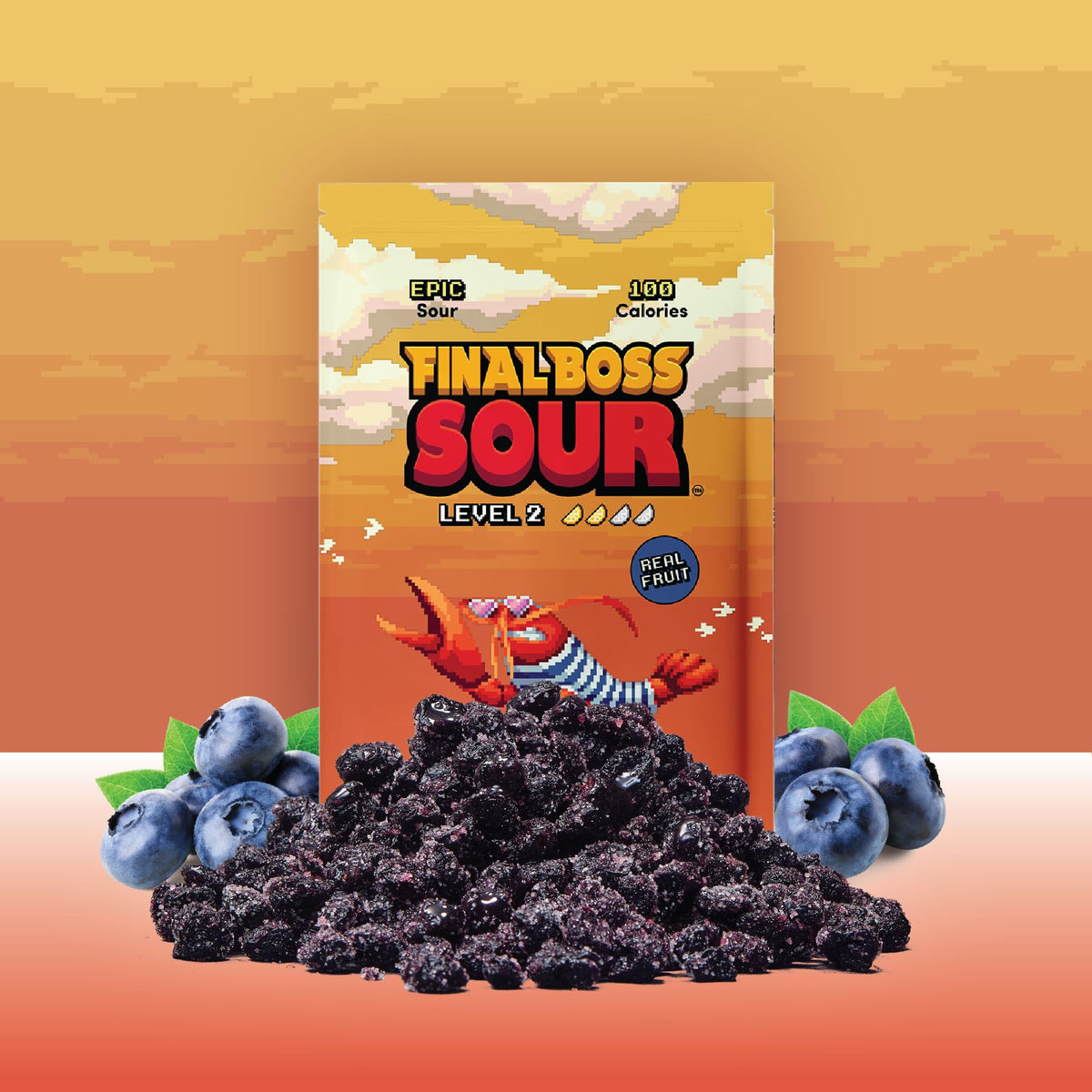 Final Boss Sour Blueberries Level 2 10-pack back view highlights clean-label packaging.