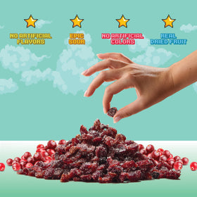 Final Boss Sour Cranberry Level 2 snack in lunchbox for kids
