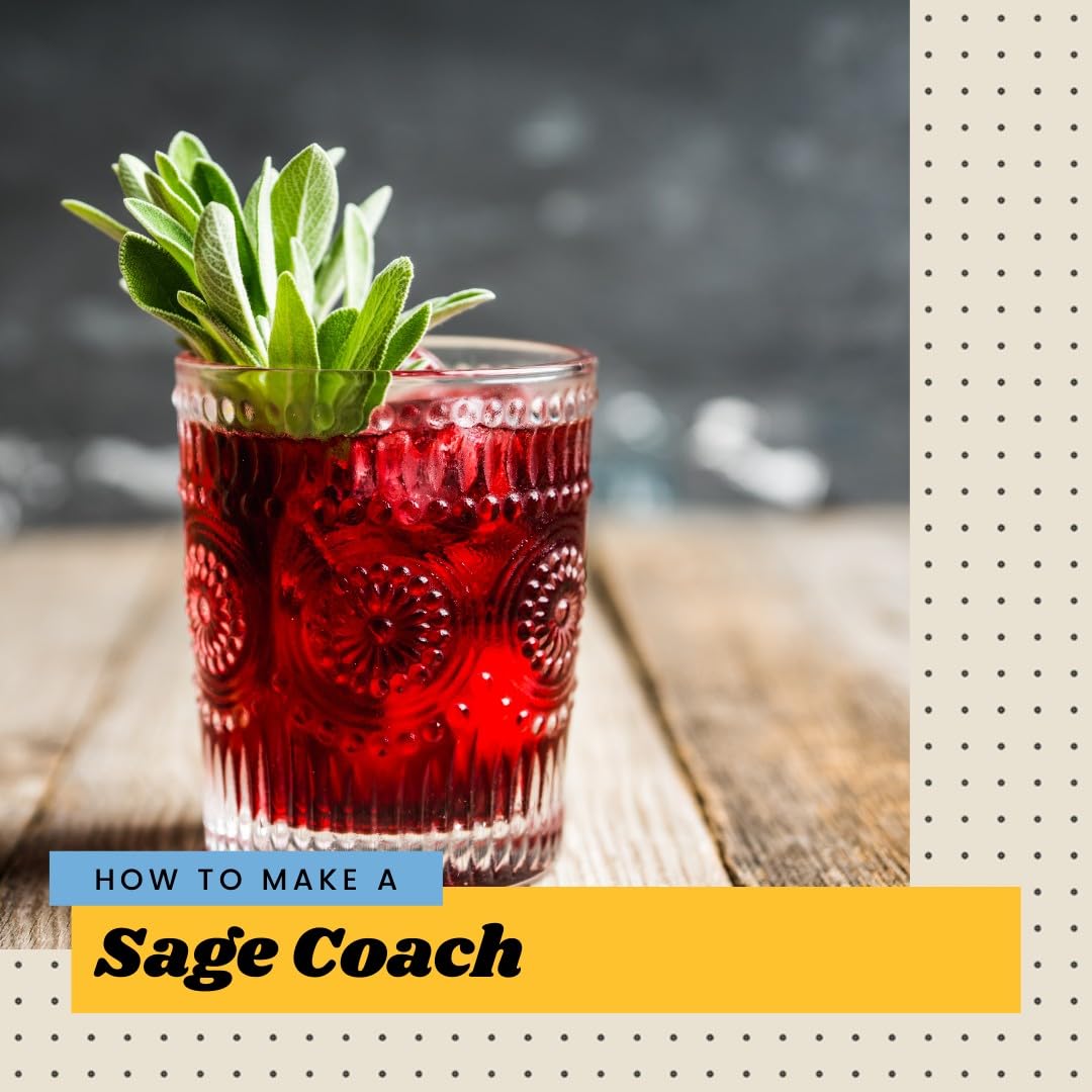 Professional bartender-friendly mix from Finest Call for consistent drink quality.
