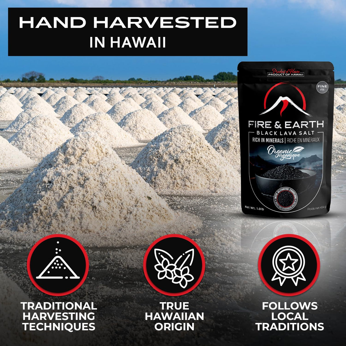 Fire and Earth fine grain black salt for premium finishing and delicate briny accent