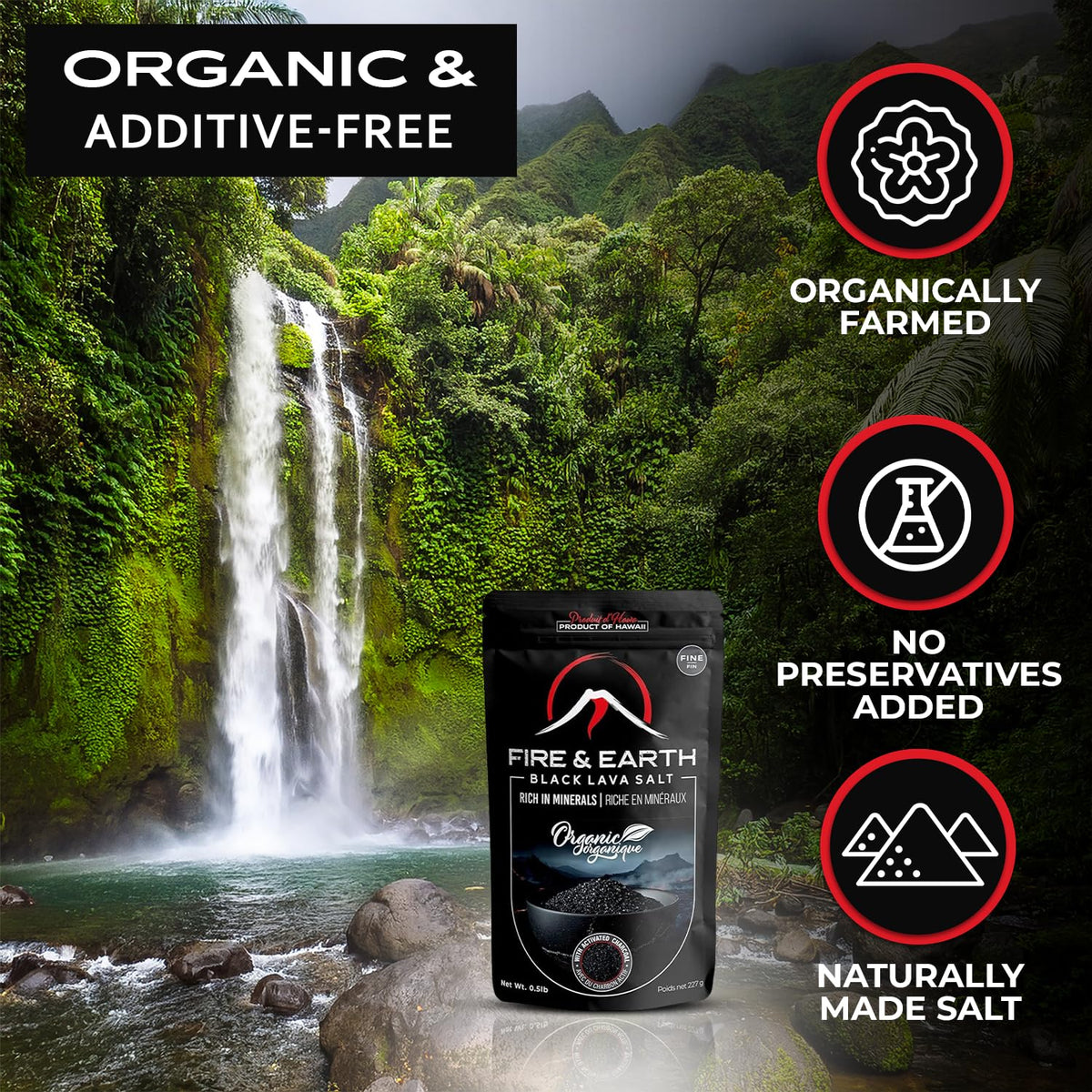 Fire & Earth premium salt with charcoal for plating