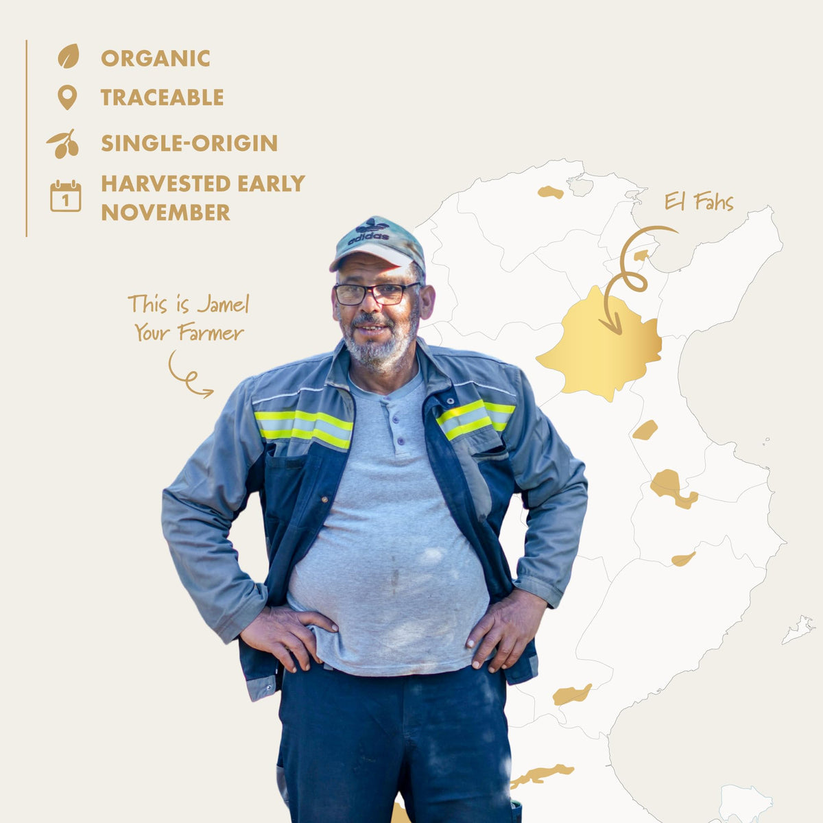 Firma Signature family farm heritage shot, reflecting decades of care from Tunisian groves.