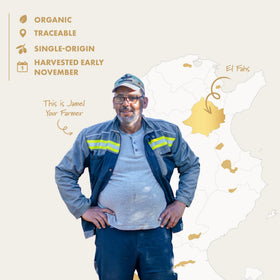 Firma Signature family farm heritage shot, reflecting decades of care from Tunisian groves.