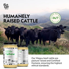 First Light Wagyu Tallow kitchen shelf signals versatile, clean-eating cooking oil choice.