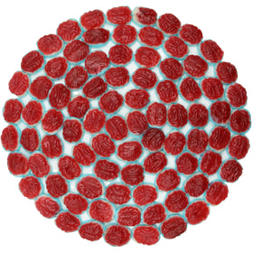 FirstChoiceCandy brain gummies serve as quirky party favors and conversation starters.