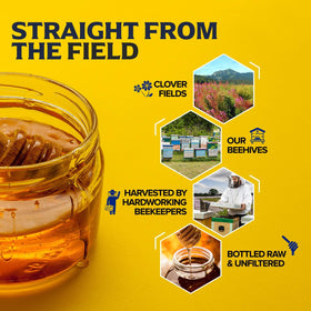 Fischer's Clover Honey in tea offers mellow sweetness and aroma.