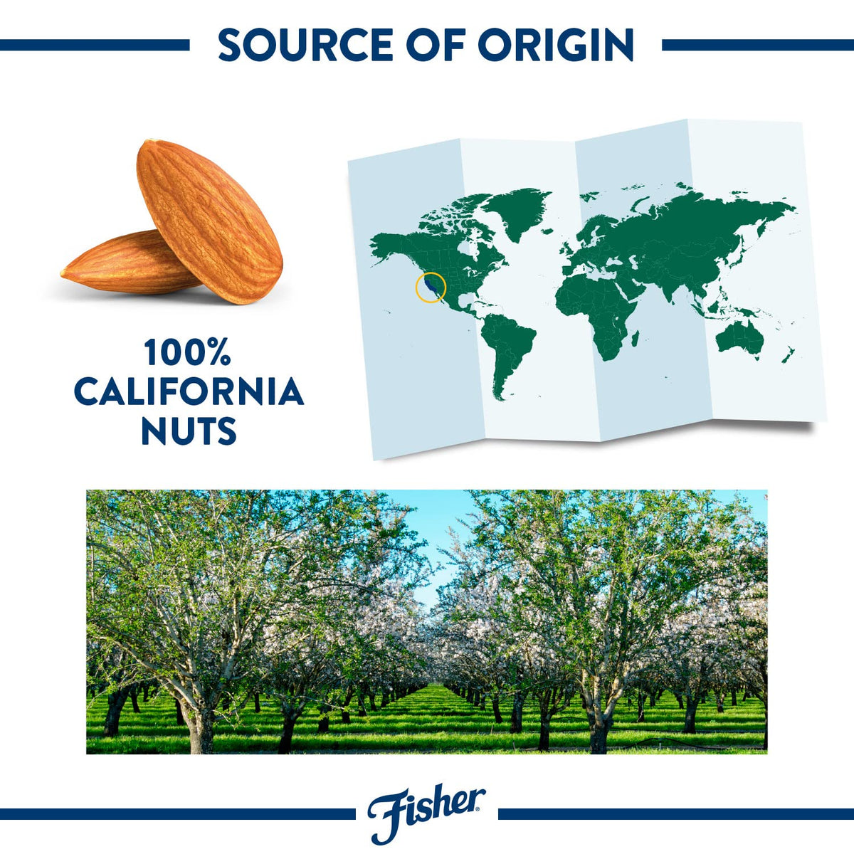 Fisher Chef's Naturals almonds displayed on a snack plate for a wholesome, protein-rich bite.