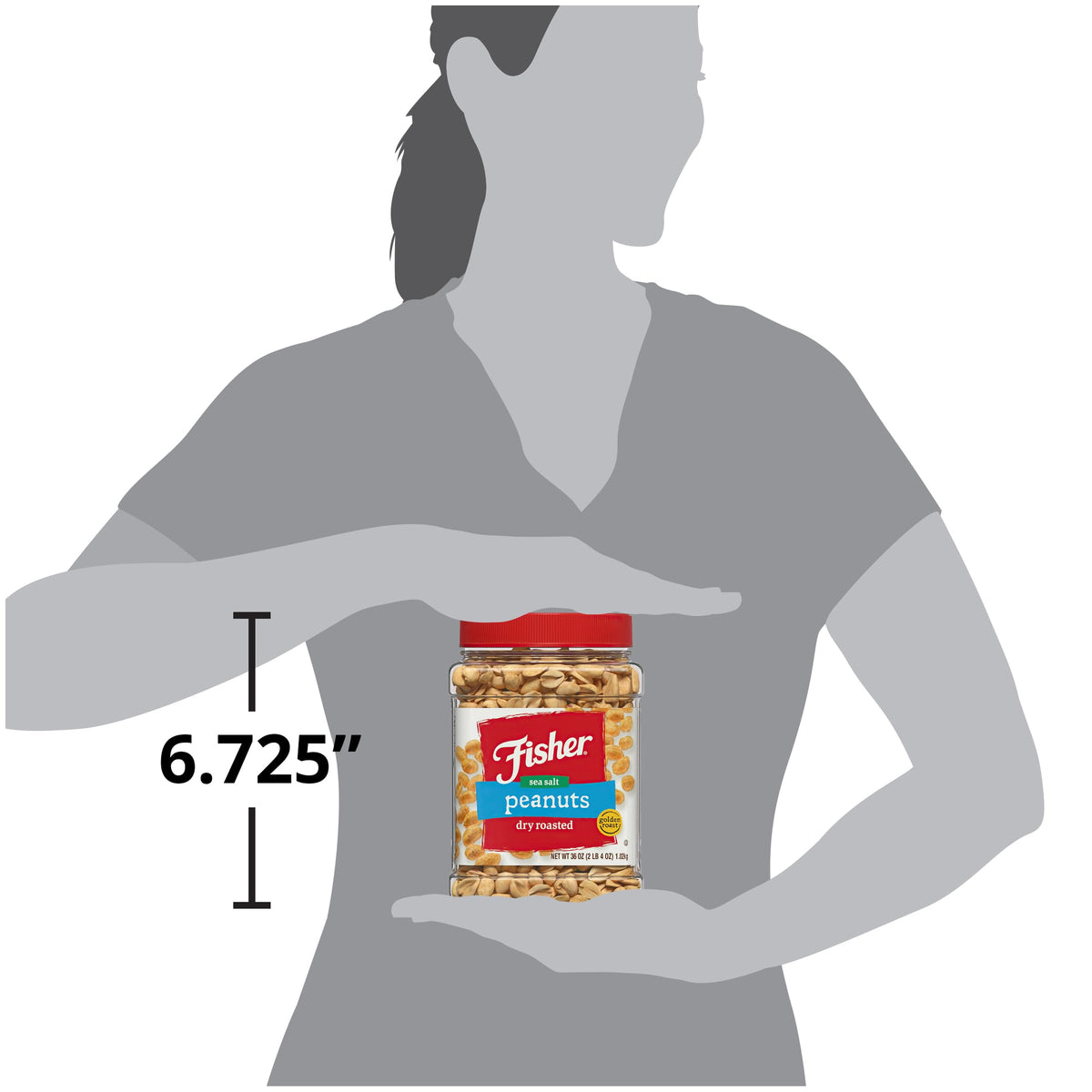 Fisher Snack Sea Salt Dry Roasted Peanuts ideal for dorm or office snacking.