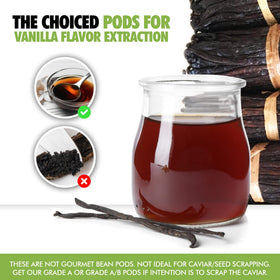 FITNCLEAN vanilla bean pods 5-7inch: premium length for consistent infusion.